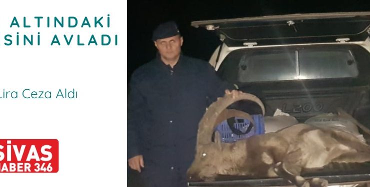 Yasa Dışı Avcılara 250 Bin Lira Ceza