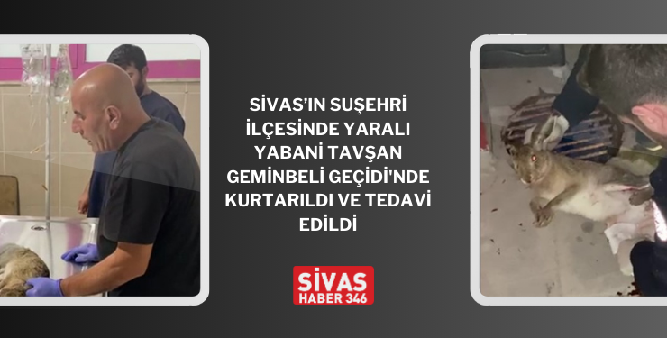 MHP Sivas Teşkilatı, Şehri Karış Karış Geziyor