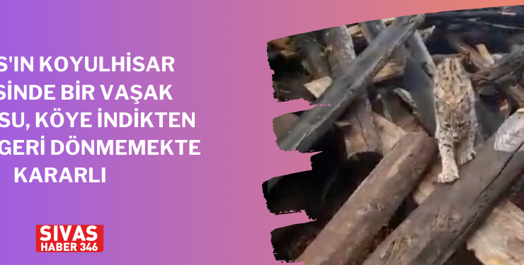 Yıldızeli’nde Çıkan Yangın Korkuttu