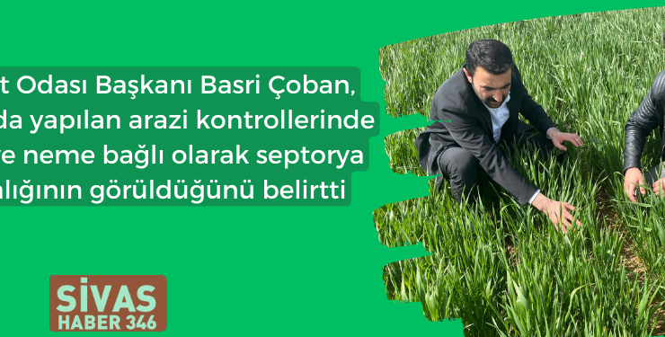 Çiftçilere Pas İlacı ve Fosfor Çinko Aminoasit Yaprak Gübresi Tavsiyesi!