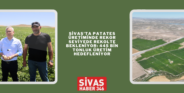 Sivas’ta Rekor Patates Üretimi!