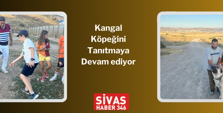 Hızlı Tren Seferleri Artırıldı