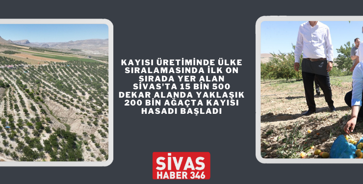 Sivas’ta Bir Ürün Daha Markalaşma Yolunda