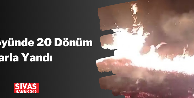 Havuz Köyünde 20 Dönüm Tarla Yandı