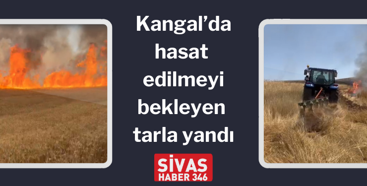 Kangal’da hasat edilmeyi bekleyen tarla yandı