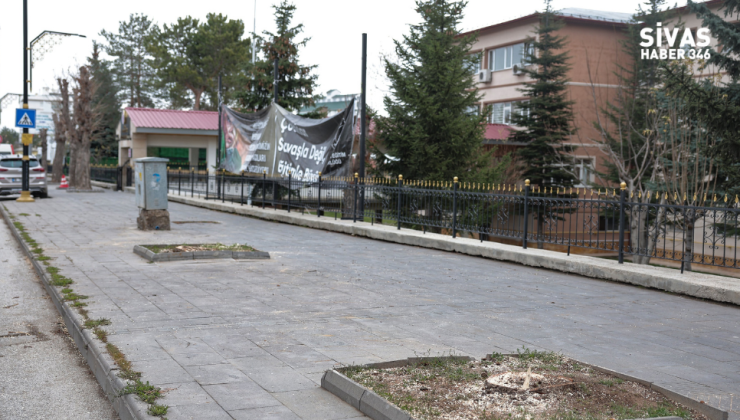 Sivas’ta Yanlış Budama: Ağaçlar Zarar Gördü