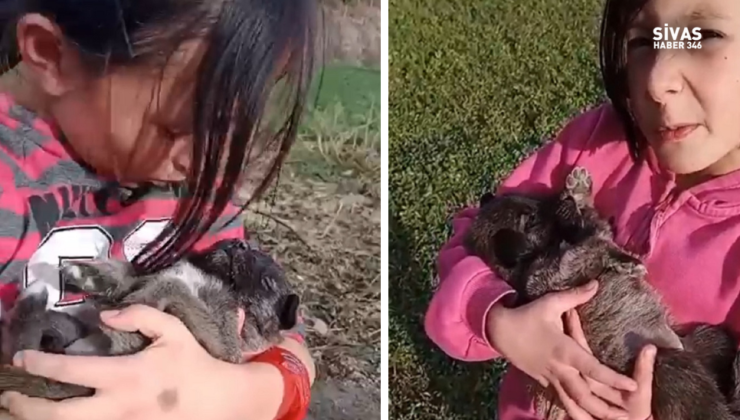Yavru Köpeğe Ninni Söylediler