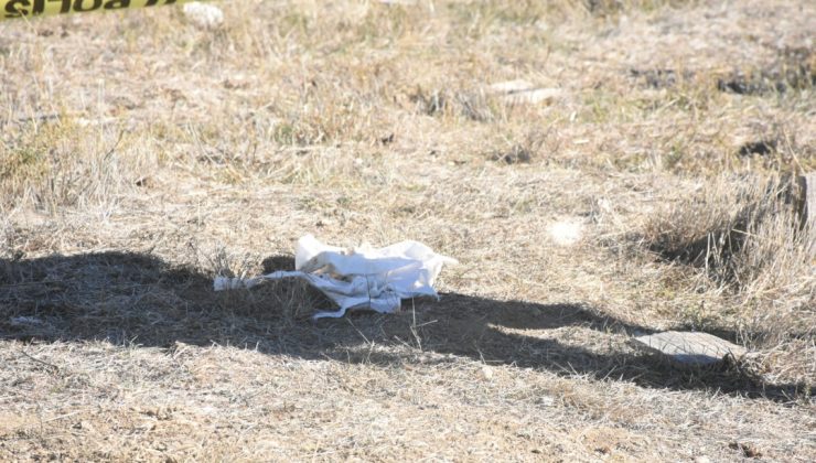 Sivas’ta Bebek Cesedini Mezardan Tilki Çıkarmış