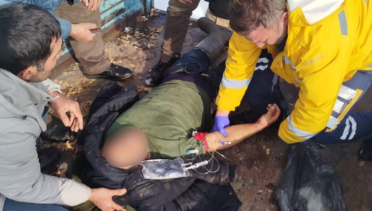 Sivas’ta ayı saldırısı: 1 ağır yaralı