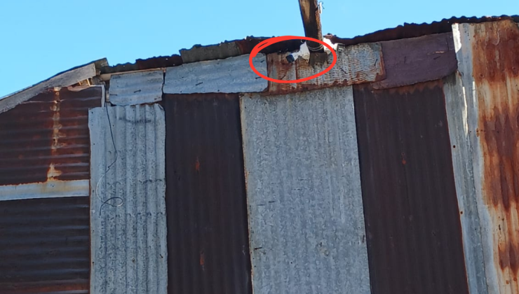 Sivas’ın O Köyünde Her Noktaya Güvenlik Kamerası Takıldı