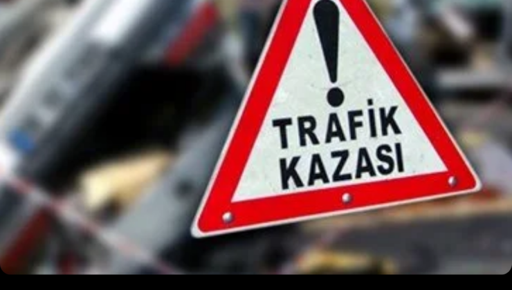 Sivas Suşehri’nde Trafik Kazası: Otomobil Devrildi, 1 Kişi Yaralandı