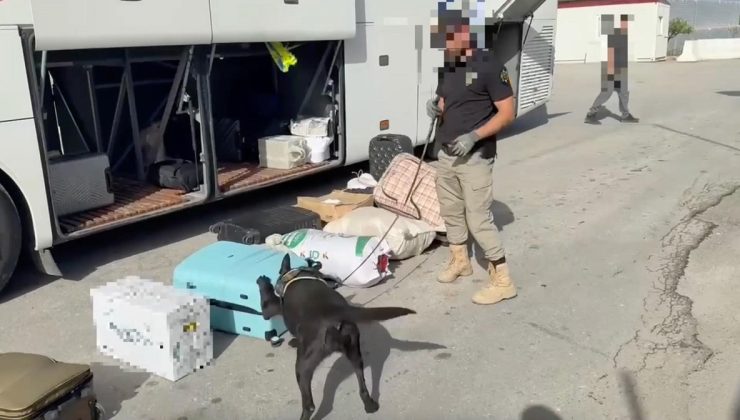 Sivas Dahil 3 İlde Uyuşturucu Operasyonu: 20 Kilo Skunk Ele Geçirildi, 1 Tutuklama
