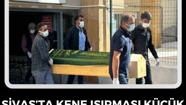 Sivas’ta Kene Isırması Küçük Metehan’ın Hayatına Mal Oldu