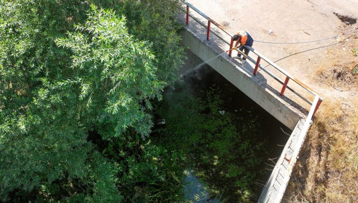 Sivas Belediyesi Mesire Alanlarında Sivrisinek ve Haşere İlaçlamalarını Sürdürüyor