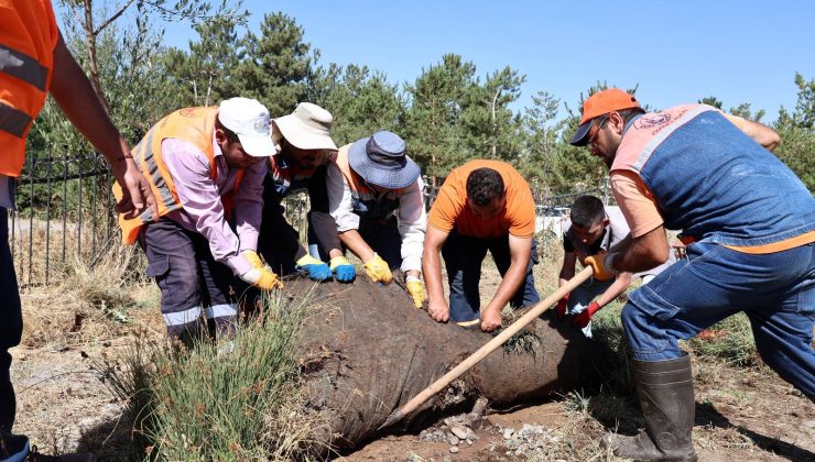 Sivas’ta Denetimli Serbestlik Yükümlülerinden Anlamlı Çalışma