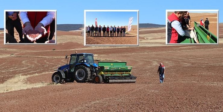 Sivas’ta Buğday ve Arpa İçin Bilimsel İş Birliği