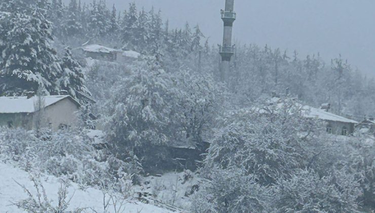 Koyulhisar’ın Yüksek Kesimlerine Kar Yağdı