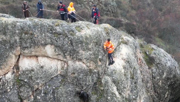 Sivas’ta Kayalıklarda Mahsur Kalan Keçi Kurtarıldı