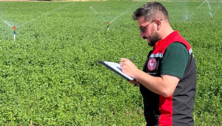 Sivas’ta Yem Bitkisi Destekleme Çalışmaları Sürüyor: Şarkışla’da Araziler Tek Tek Denetleniyor
