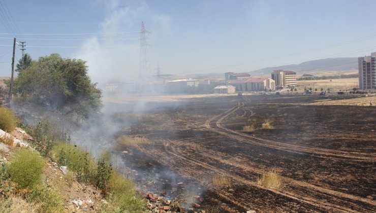 ZARA’DA BUĞDAY TARLASI YANDI: 80 DÖNÜM KÜL OLDU, YOĞUN DUMAN ZİNCİRLEME KAZAYA NEDEN OLDU