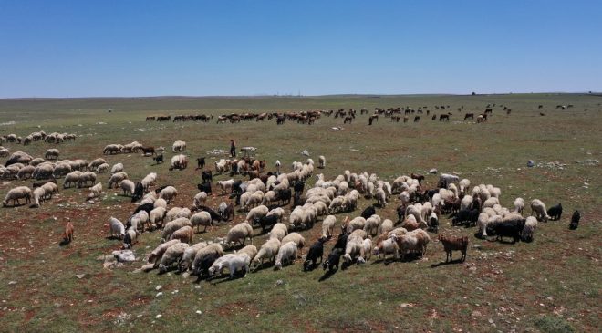 Karasu, Karaseki Düzü’ndeki Projeleri TBMM Gündemine Taşıdı