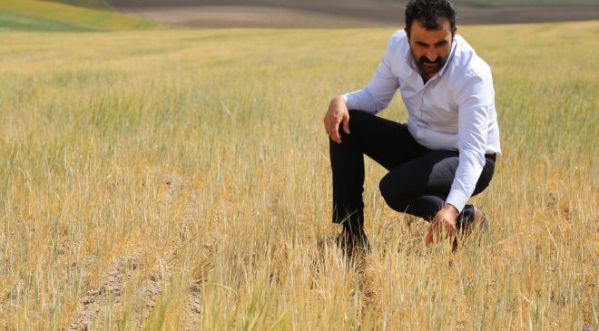 Çoban: “Mazot Fiyatları Çiftçinin Belini Büküyor”
