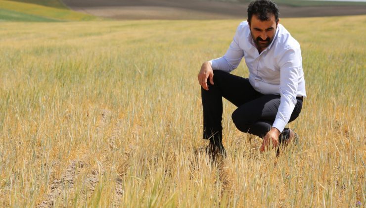 Çoban: “Mazot Fiyatları Çiftçinin Belini Büküyor”