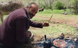 ŞARKIŞLA’DA YILDIRIM ÇOBANIN CANINI ALDI