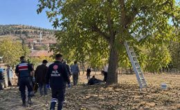 Sivas’ta Ceviz Ağacından Düşen 70 Yaşındaki Adam Hayatını Kaybetti