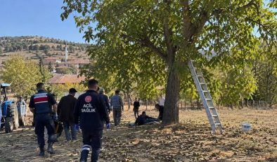 Sivas’ta Ceviz Ağacından Düşen 70 Yaşındaki Adam Hayatını Kaybetti