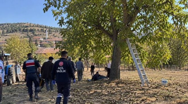 Sivas’ta Ceviz Ağacından Düşen 70 Yaşındaki Adam Hayatını Kaybetti