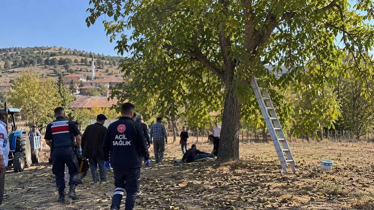 Sivas’ta Ceviz Ağacından Düşen 70 Yaşındaki Adam Hayatını Kaybetti